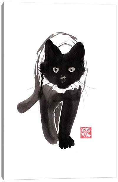 Walking Cat Canvas Art Print - Péchane