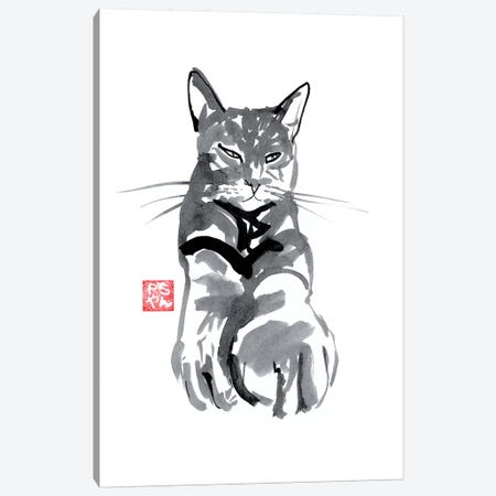Warm Cat Canvas Print #PCN193} by Péchane Art Print