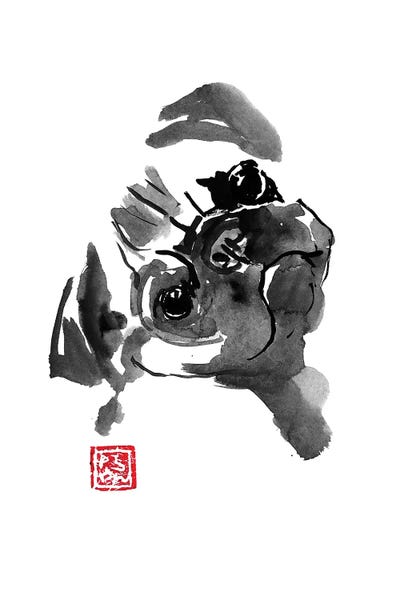 Pugs: What ? by Péchane