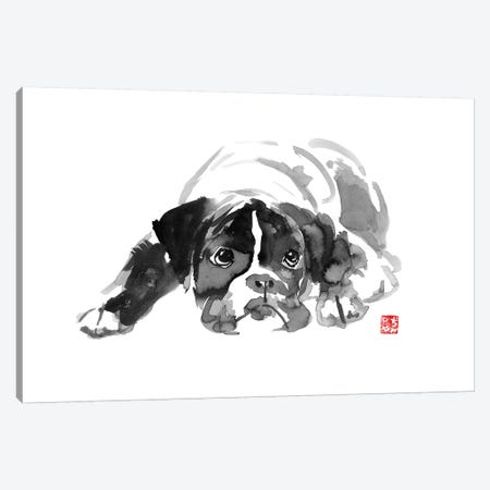 Bulldog II Canvas Print #PCN19} by Péchane Canvas Wall Art