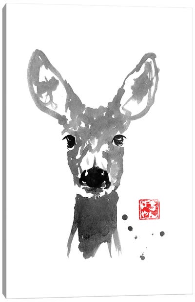 Young Deer Canvas Art Print - Péchane