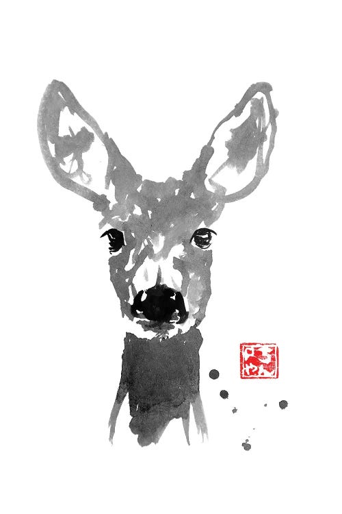 Young Deer