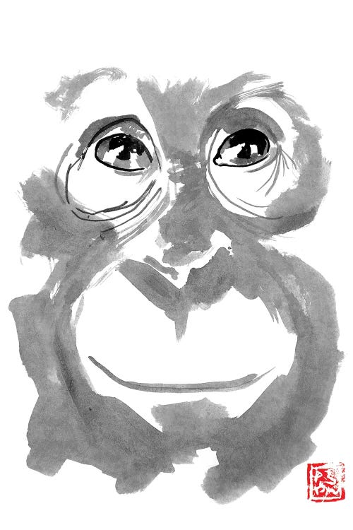 Young Orangutan by Péchane wall art