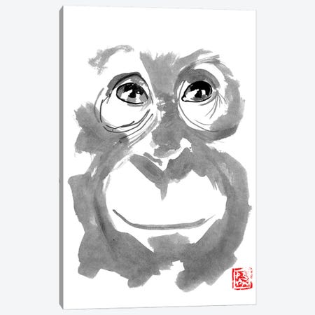 Young Orangutan Canvas Print #PCN201} by Péchane Art Print