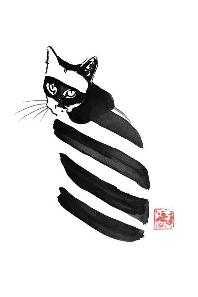 Zebra Cat by Péchane canvas print