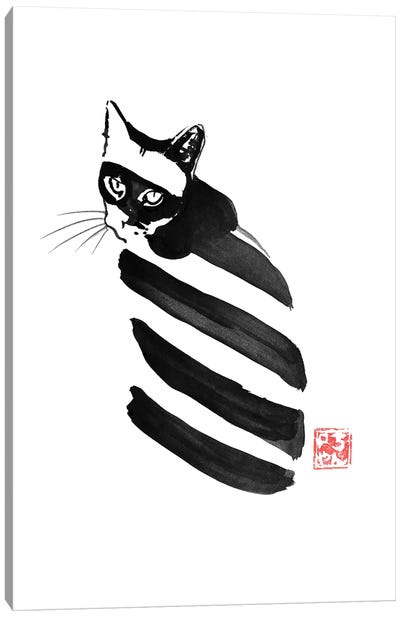 Zebra Cat Canvas Art Print - Péchane