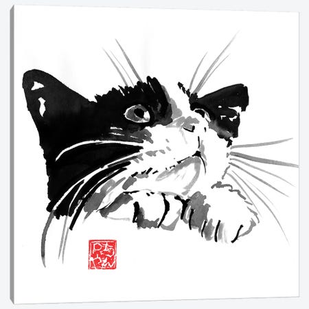 Begging Cat Canvas Print #PCN205} by Péchane Canvas Art