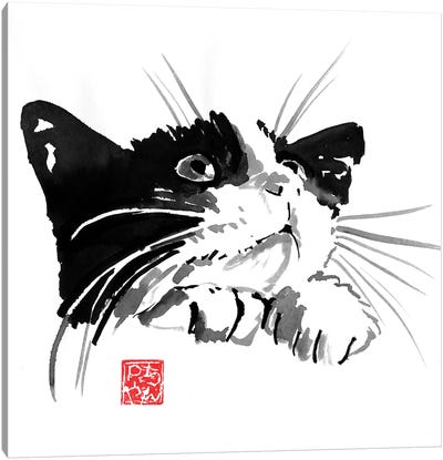 Begging Cat Canvas Art Print - Péchane
