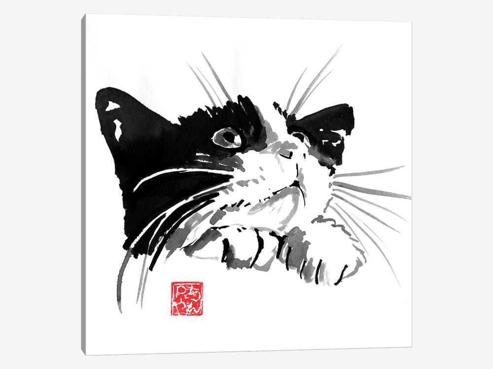 Begging Cat by Péchane 1-piece Canvas Wall Art