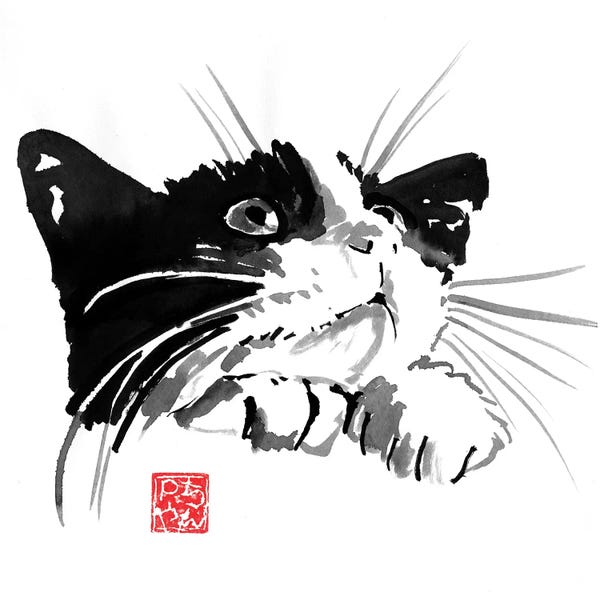 Black & White & Red: Begging Cat by Péchane