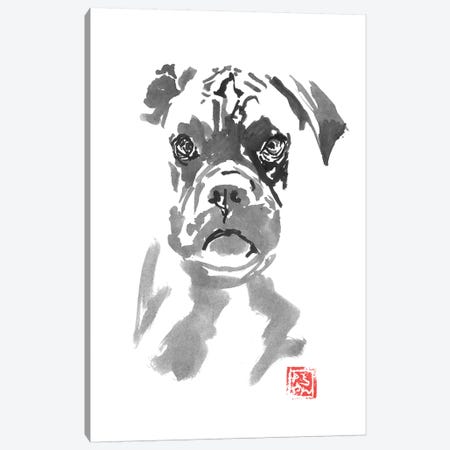 Bulldog Canvas Print #PCN207} by Péchane Canvas Artwork
