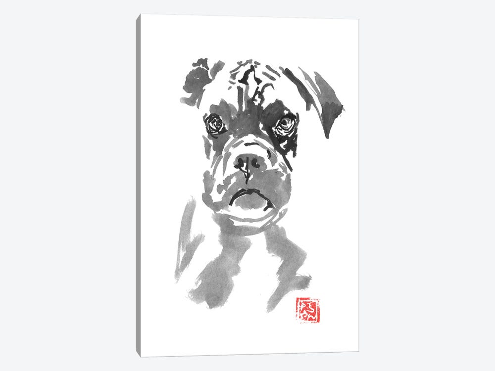 Bulldog by Péchane 1-piece Canvas Art