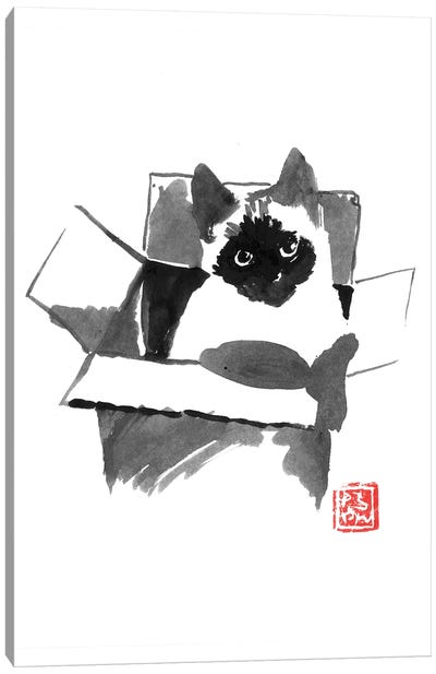 Cat In The Box Canvas Art Print - Péchane