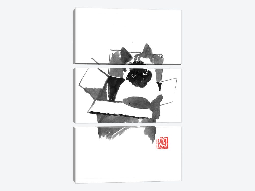 Cat In The Box by Péchane 3-piece Canvas Artwork
