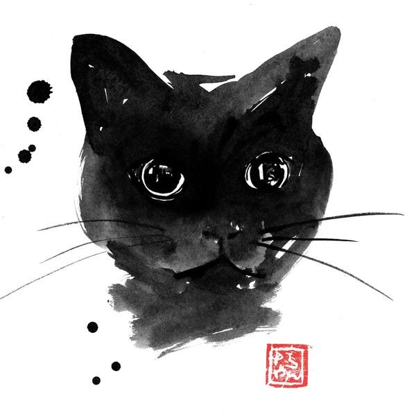 Black & White & Red: Chat Noir by Péchane