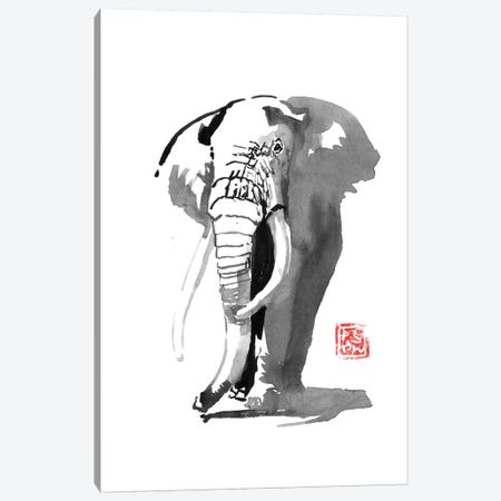 Elephant Canvas Print #PCN217} by Péchane Canvas Art Print