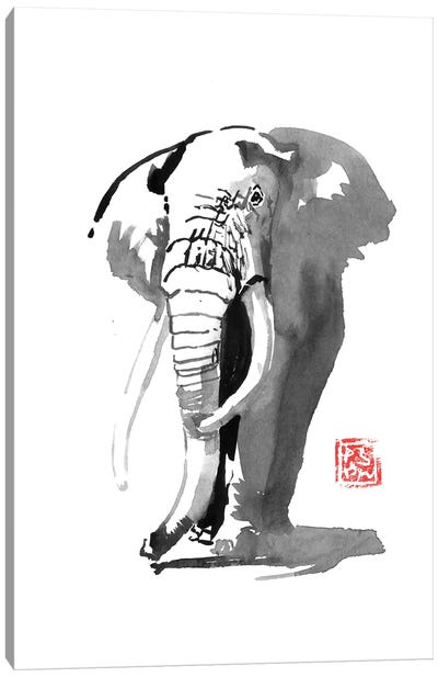 Elephant Canvas Art Print - Péchane