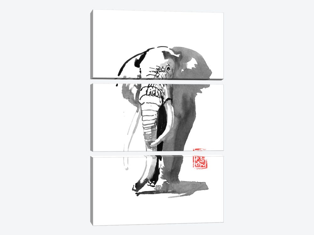 Elephant by Péchane 3-piece Canvas Art Print