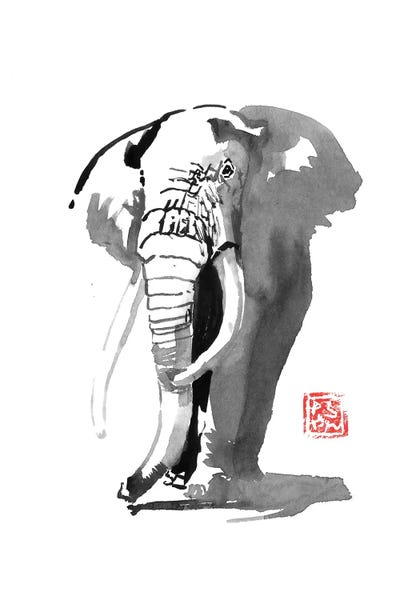 Black & White & Red: Elephant by Péchane