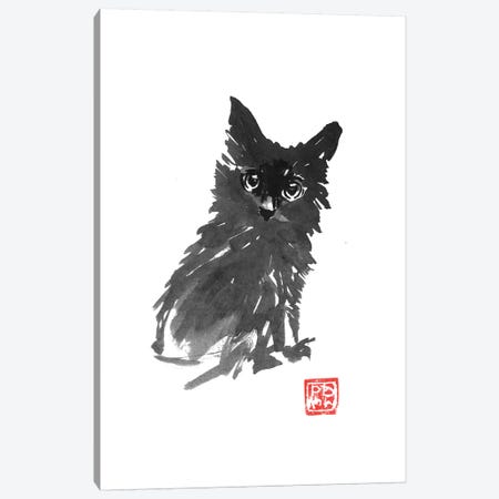 Fluffy Young Cat Canvas Print #PCN218} by Péchane Canvas Artwork
