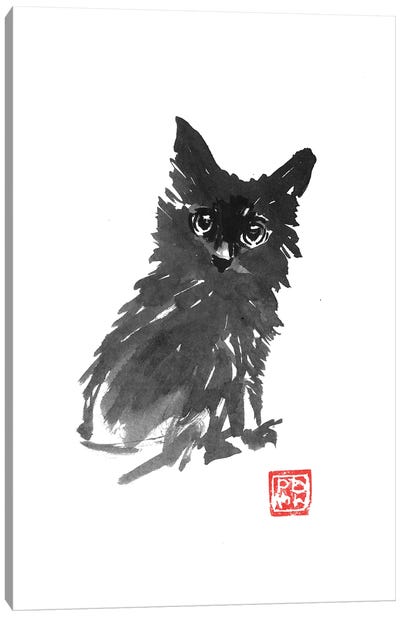 Fluffy Young Cat Canvas Art Print - Gray Art