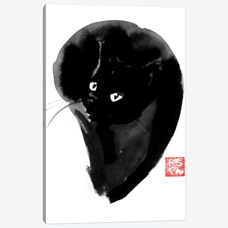 Cat Ball Canvas Print #PCN21} by Péchane Canvas Print