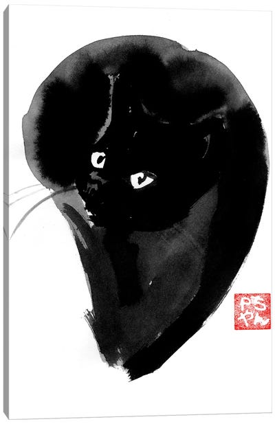 Cat Ball Canvas Art Print - Péchane