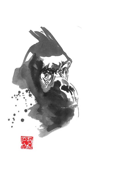 Gorillas: Gorilla Thoughts by Péchane