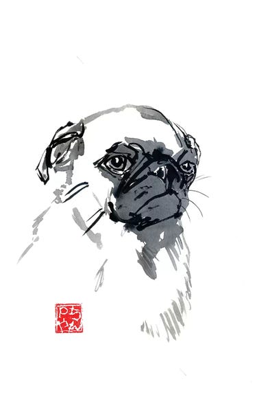 Pugs: Grumpy Carlin by Péchane