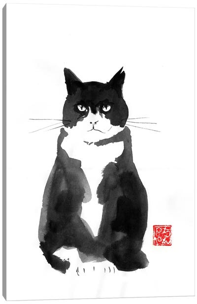 Grumpy Cat Canvas Art Print - Black, White & Red Art