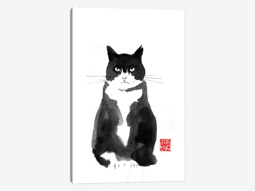 Grumpy Cat by Péchane 1-piece Canvas Art