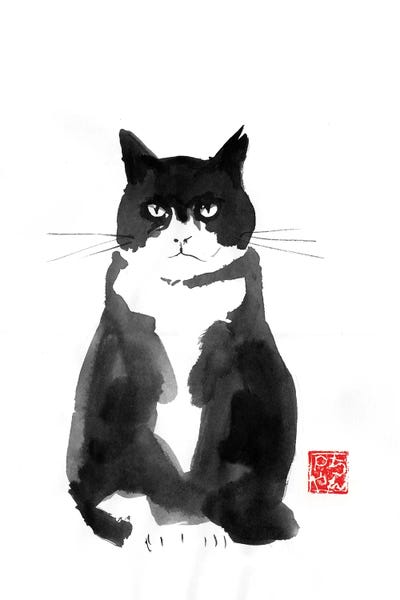 Black & White & Red: Grumpy Cat by Péchane