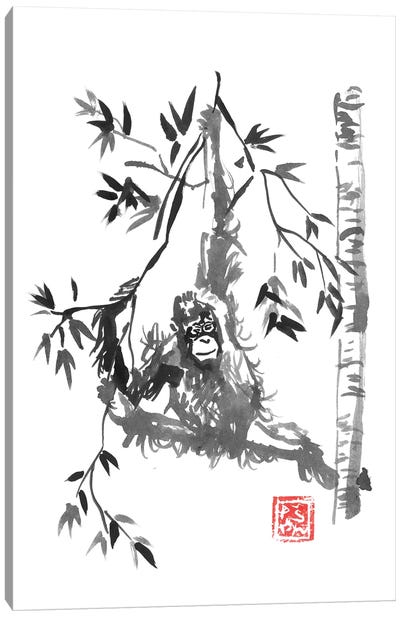 Home Sweet Home Canvas Art Print - Orangutan Art