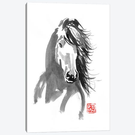 Horse In The Wind Canvas Print #PCN225} by Péchane Canvas Artwork