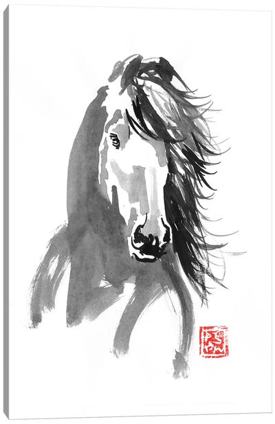 Horse In The Wind Canvas Art Print - Péchane