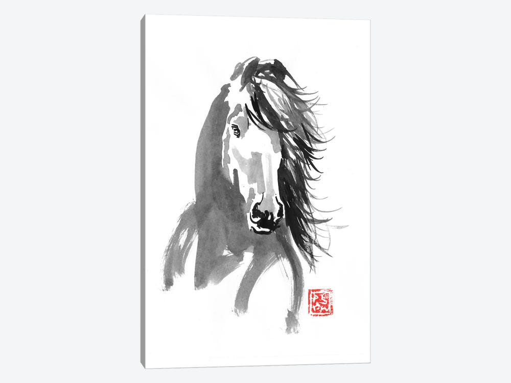 Horse In The Wind by Péchane 1-piece Canvas Artwork