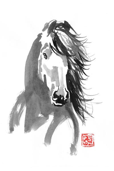 Black & White & Red: Horse In The Wind by Péchane