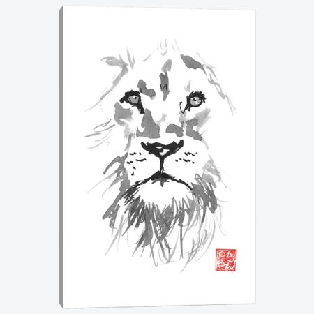 Lion In White Canvas Print #PCN228} by Péchane Art Print