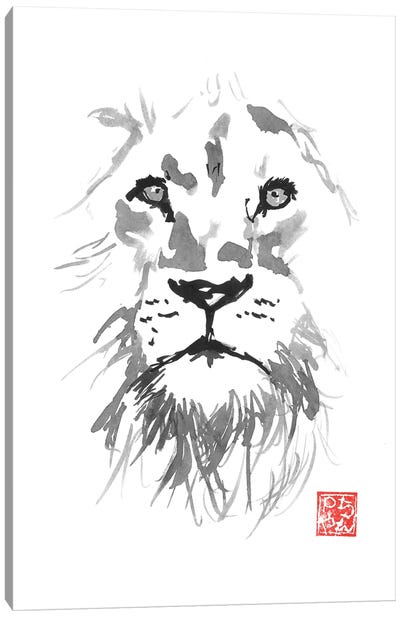 Lion In White Canvas Art Print - Péchane