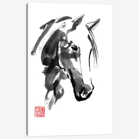 Little Horse Canvas Print #PCN229} by Péchane Art Print