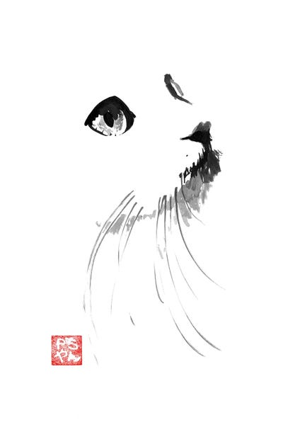 Black & White & Red: Cat In White by Péchane