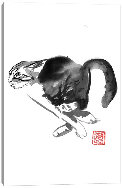 Running Cat Canvas Art Print - Péchane