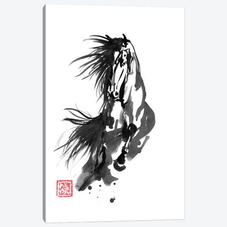 Running Horse Canvas Print #PCN240} by Péchane Art Print