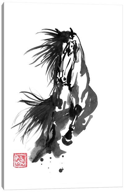 Running Horse Canvas Art Print - Black, White & Red Art