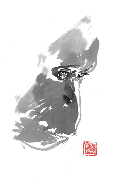 Orangutans: Sad Orangutan by Péchane