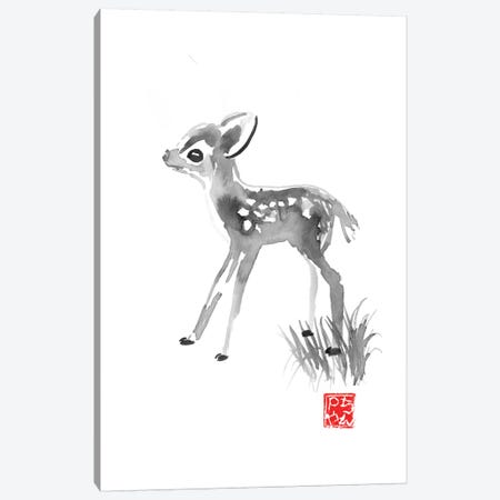 Small Deer Canvas Print #PCN243} by Péchane Art Print