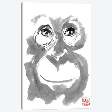 Smiling Orangutan Canvas Print #PCN244} by Péchane Canvas Artwork