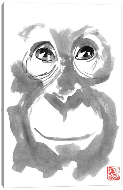 Smiling Orangutan Canvas Art Print - Orangutan Art
