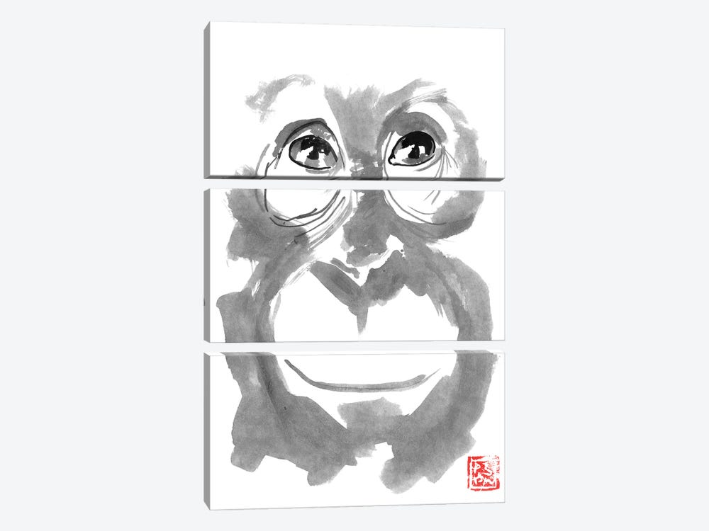 Smiling Orangutan by Péchane 3-piece Canvas Print