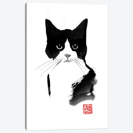 Stray Cat Canvas Print #PCN246} by Péchane Canvas Art